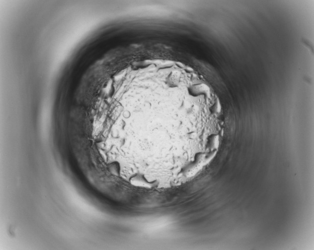 X0000102290765200808151953