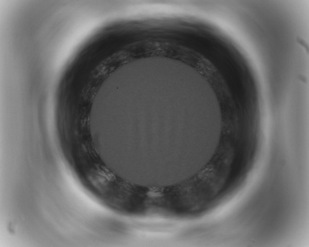 X0000102290766200808151953