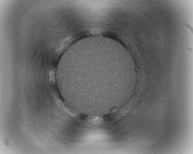 X0000102290768200808151953