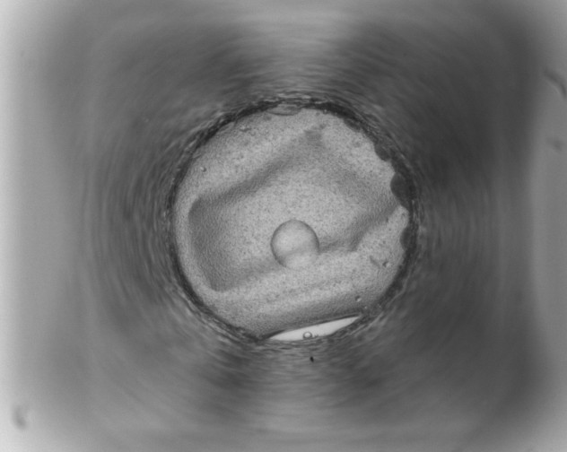 X0000102290769200808151952