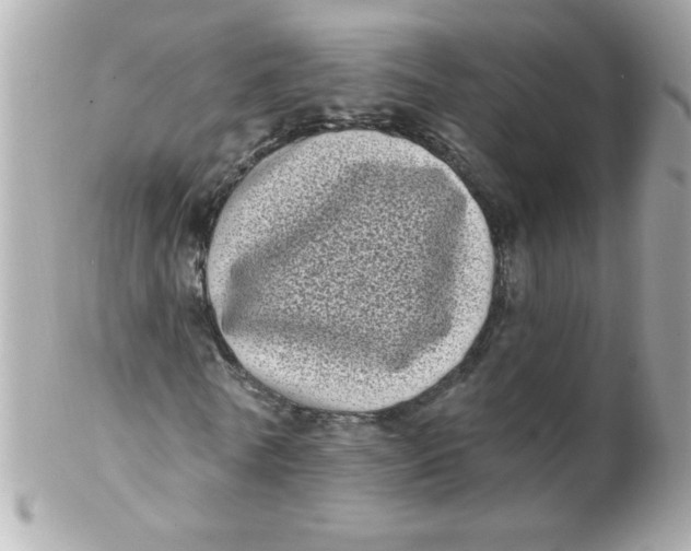 X0000102290770200808151952