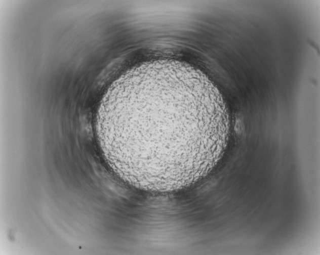 X0000102290771200808151952