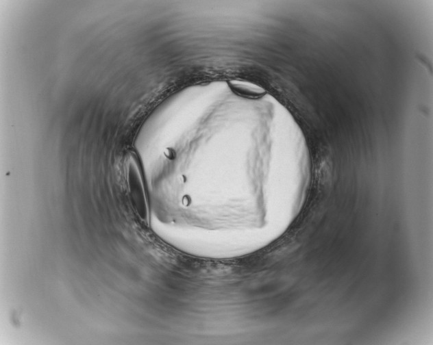 X0000102290772200808151952