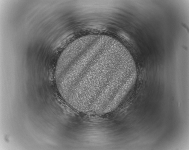 X0000102290774200808151952