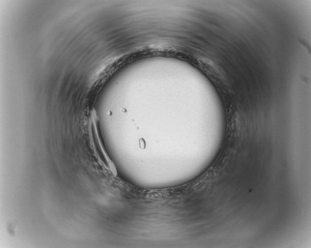 X0000102290776200808151952