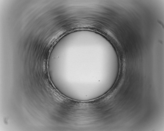 X0000102290777200808151952