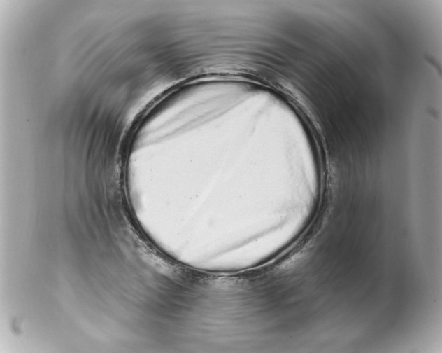 X0000102290779200808151952