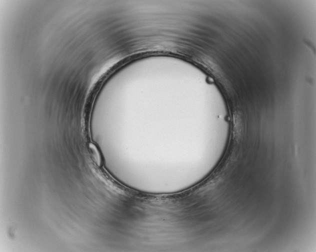 X0000102290780200808151952