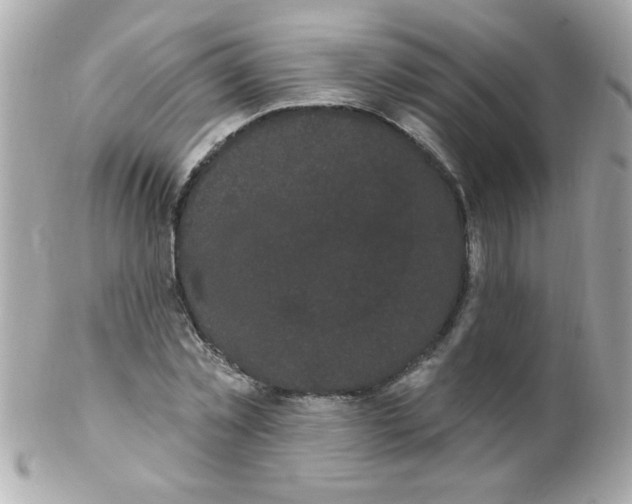 X0000102290781200808151952