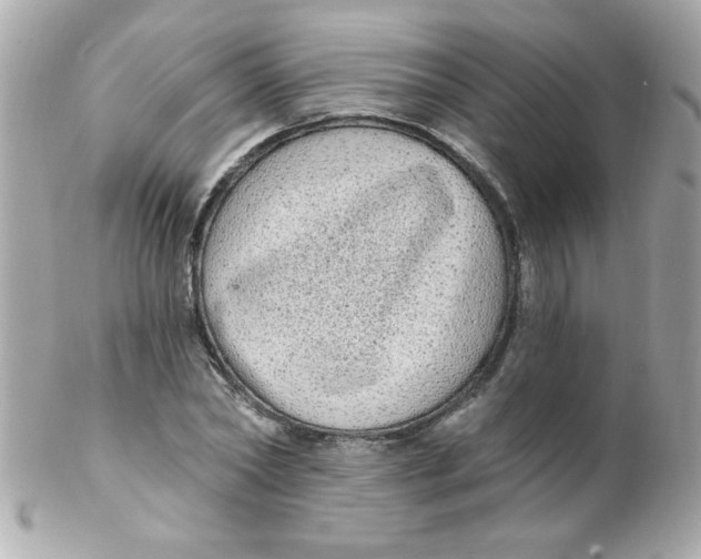 X0000102290782200808151952