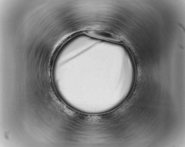 X0000102290784200808151952