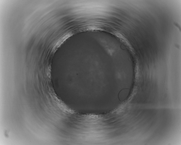 X0000102290785200808151952