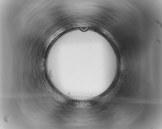 X0000102290786200808151952