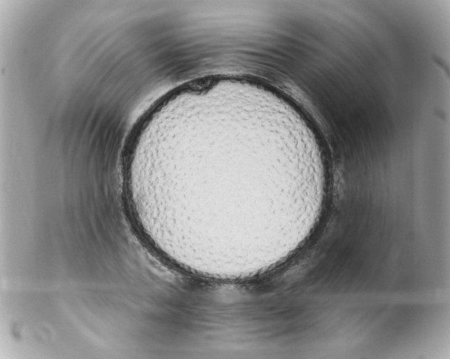 X0000102290787200808151952