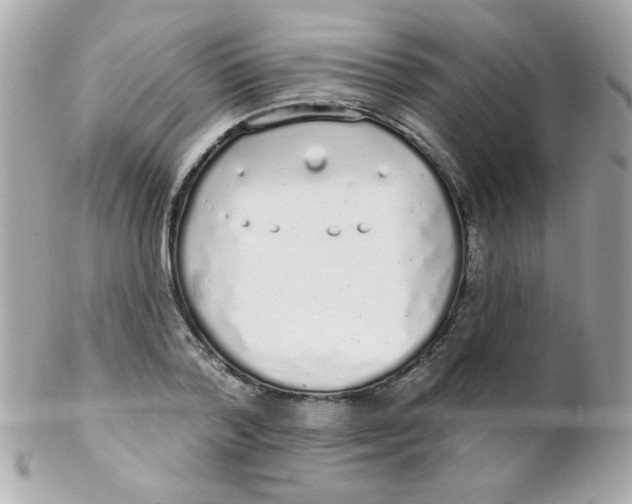 X0000102290788200808151952