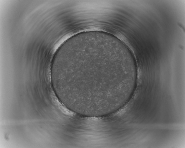 X0000102290789200808151952