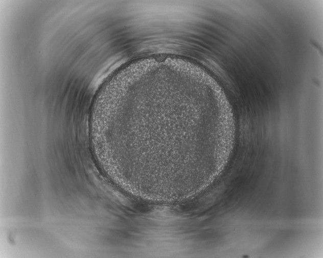 X0000102290790200808151952