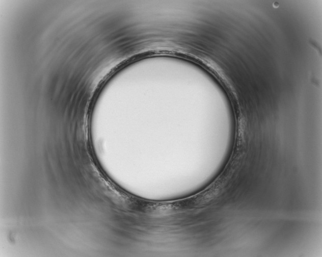 X0000102290791200808151951