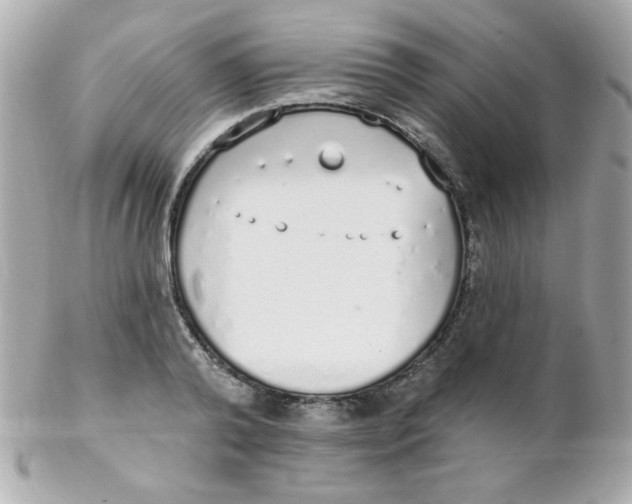 X0000102290792200808151951