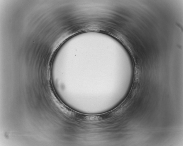 X0000102290795200808151951