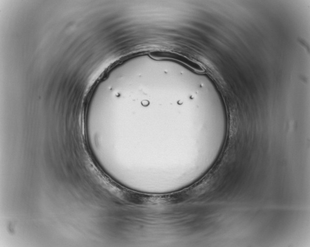 X0000102290796200808151951