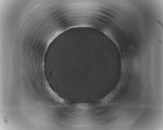 X0000102290797200808151951