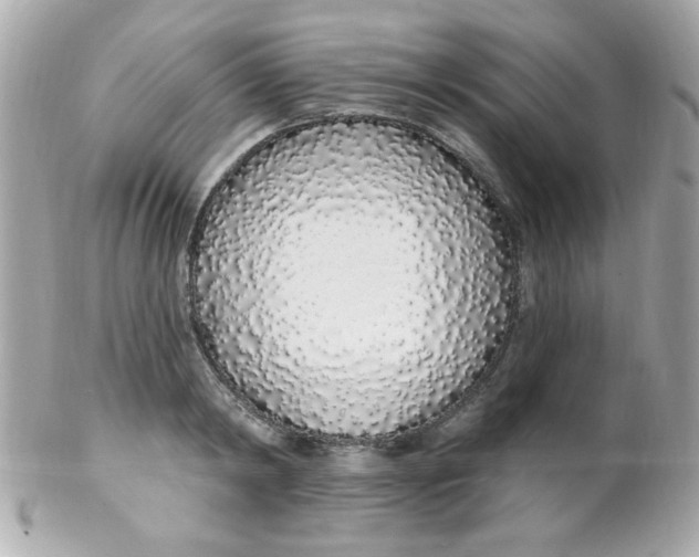 X0000102290798200808151951