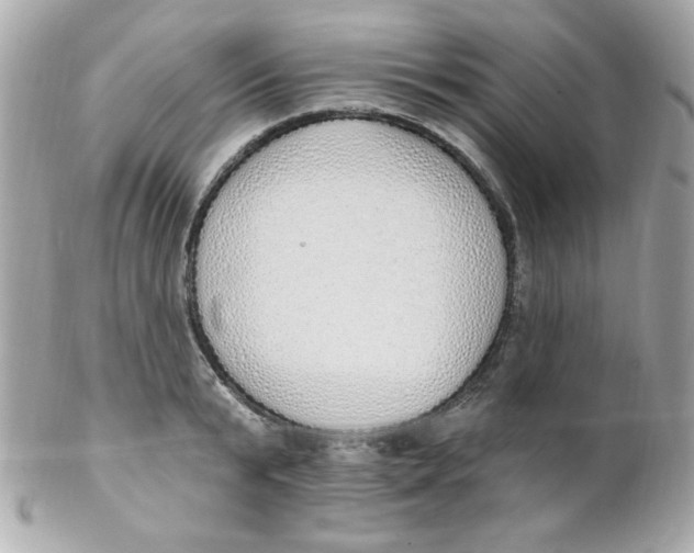 X0000102290799200808151951