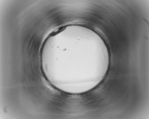 X0000102290800200808151951