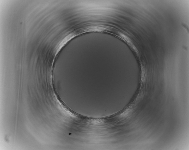 X0000102290802200808151951