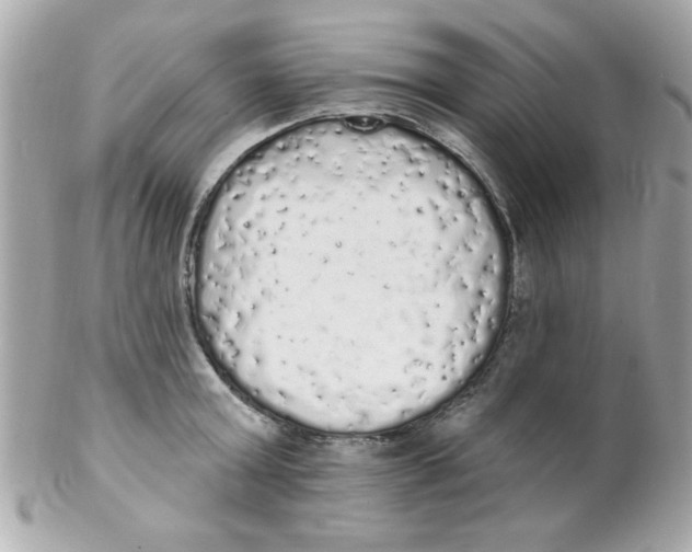 X0000102290803200808151951