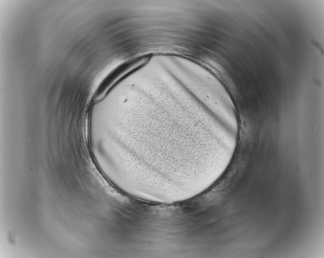 X0000102290804200808151951