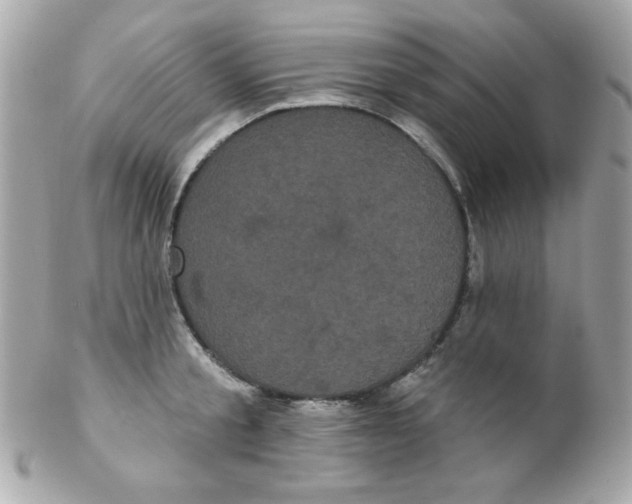 X0000102290805200808151951