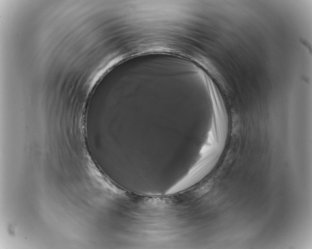 X0000102290806200808151951