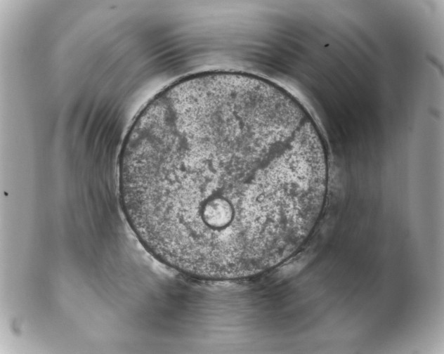 X0000102290807200808151951