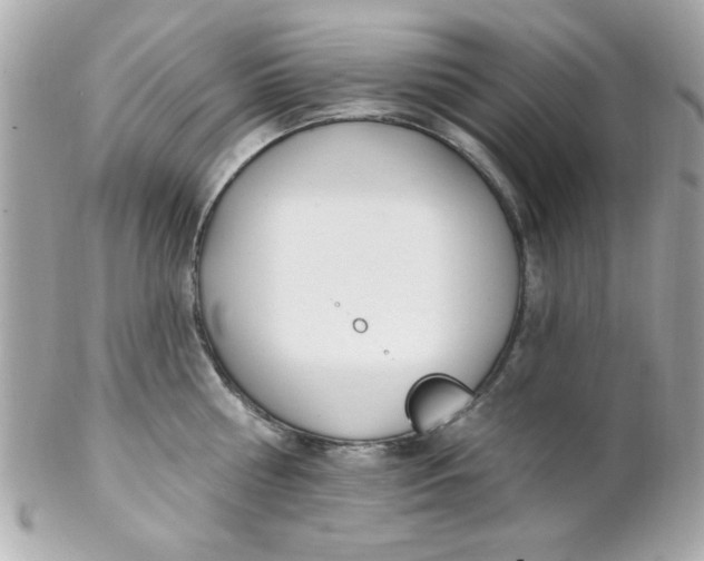 X0000102290810200808151951