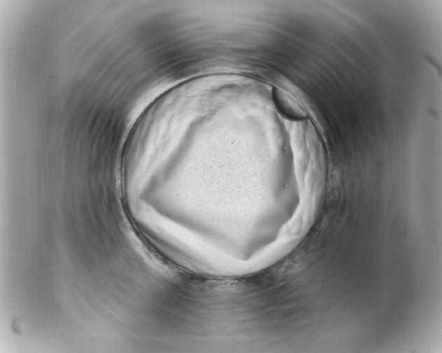 X0000102290811200808151951