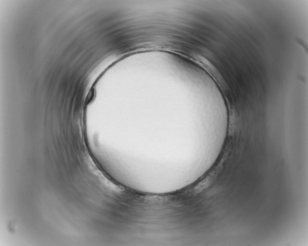 X0000102290812200808151951