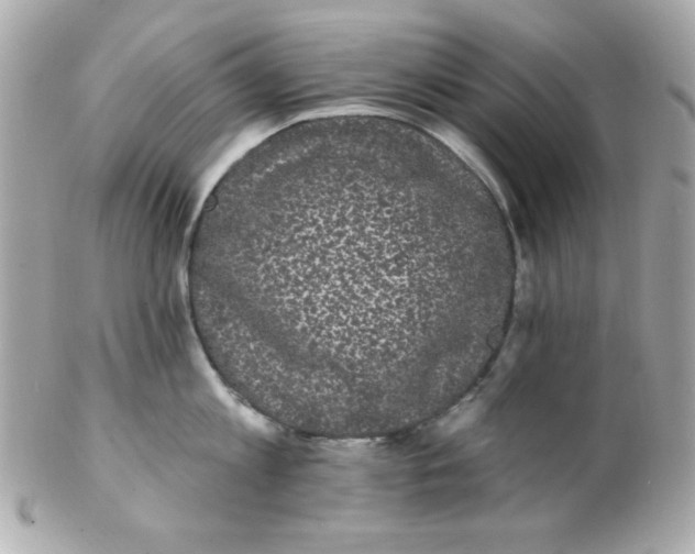 X0000102290813200808151951