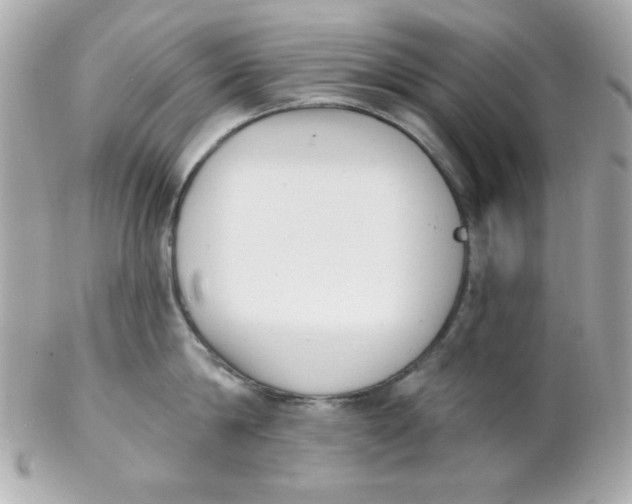 X0000102290814200808151951