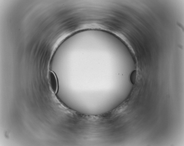 X0000102290815200808151951