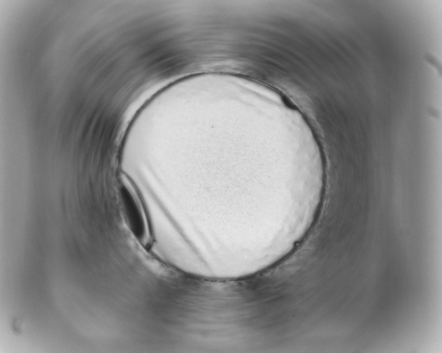 X0000102290816200808151951