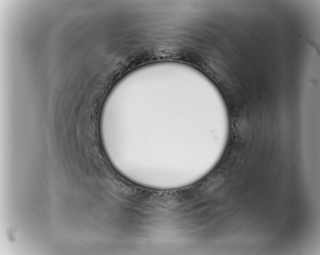 X0000102290817200808151950