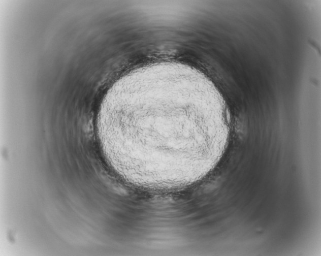 X0000102290818200808151950