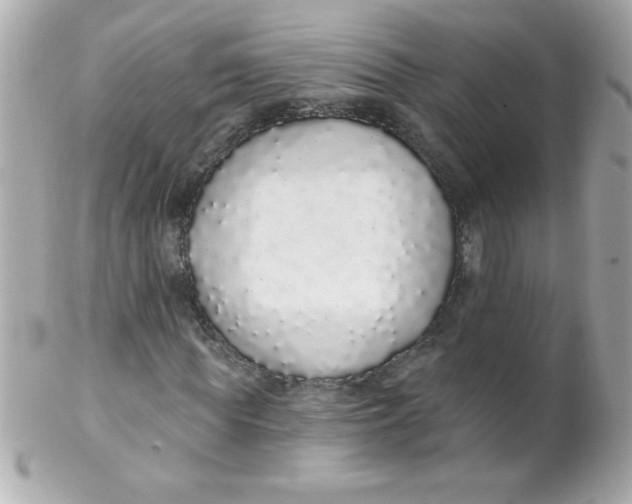 X0000102290819200808151950