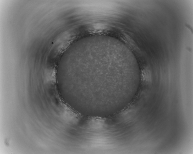 X0000102290820200808151950