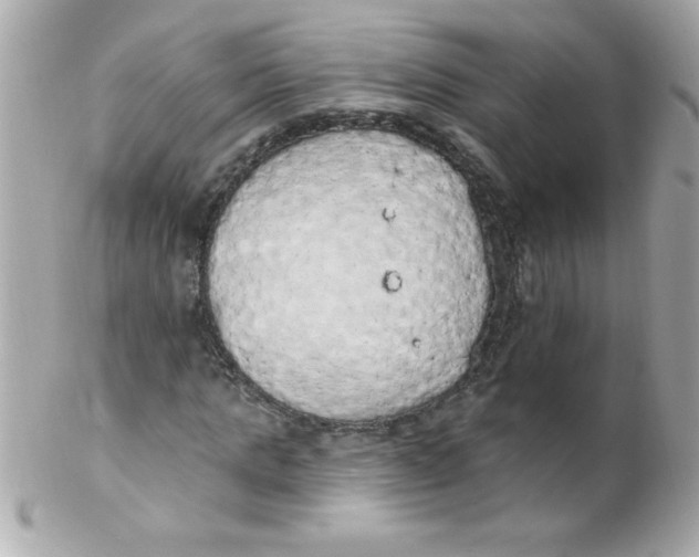 X0000102290821200808151950