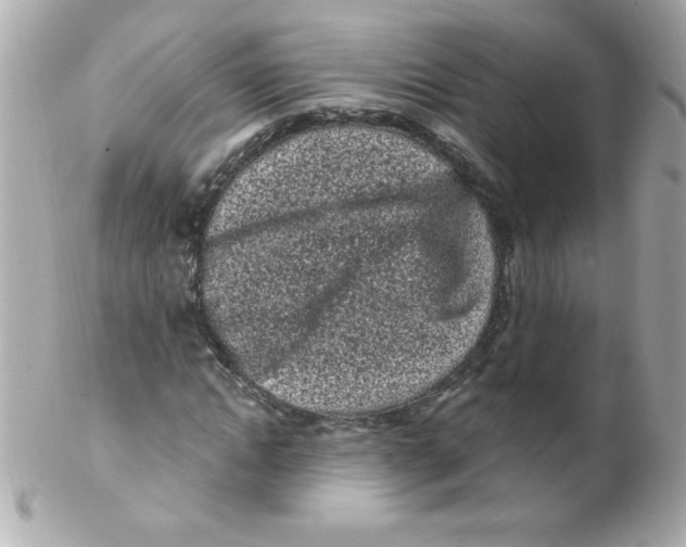 X0000102290822200808151950