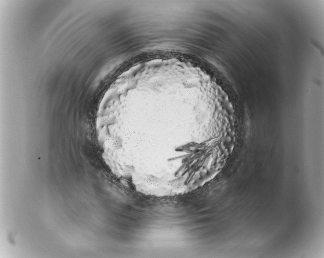 X0000102290823200808151951