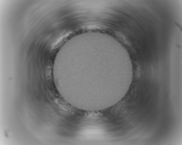 X0000102290824200808151951